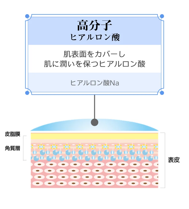 高分子型ヒアルロン酸