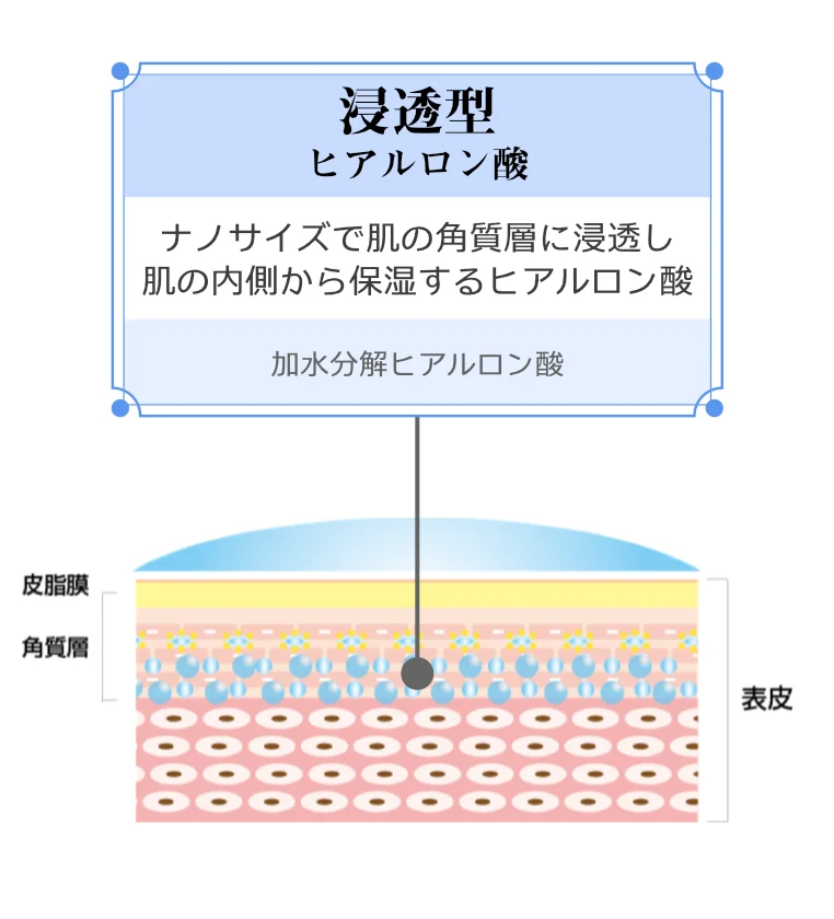 浸透型ヒアルロン酸