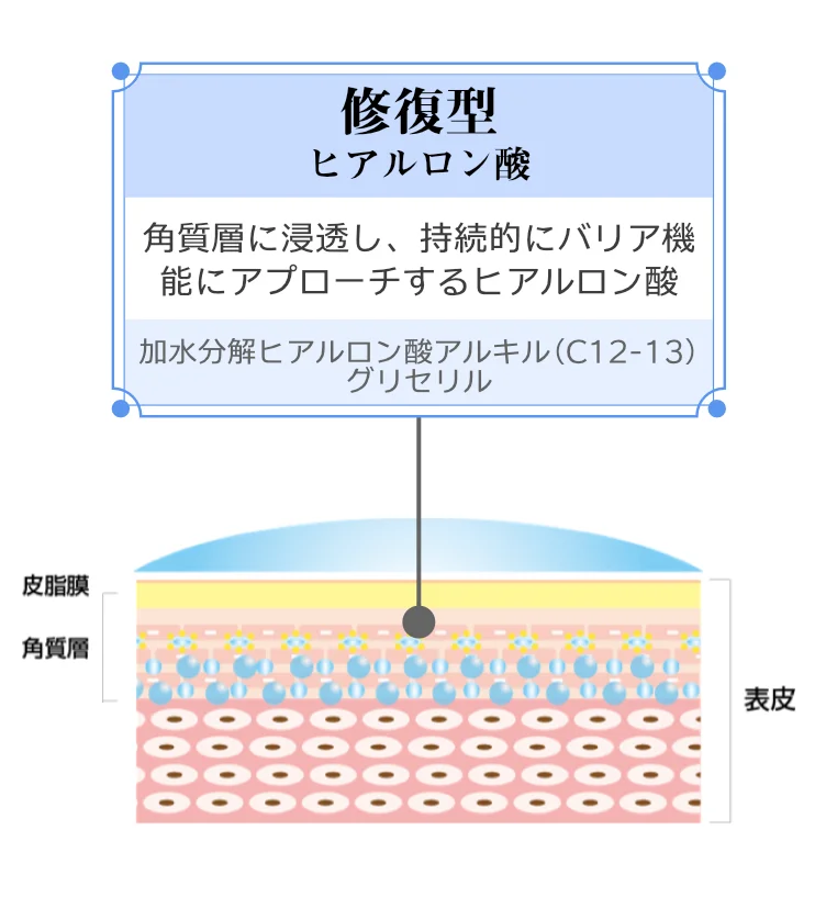 修復型ヒアルロン酸