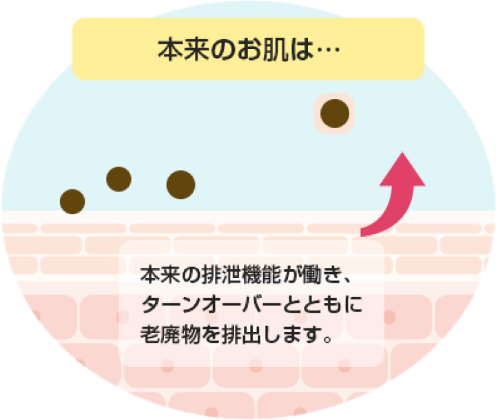 本来の排泄機能が働き、ターンオーバーとともに、老廃物を排出します