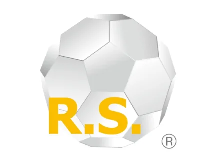 ラジカルスポンジ