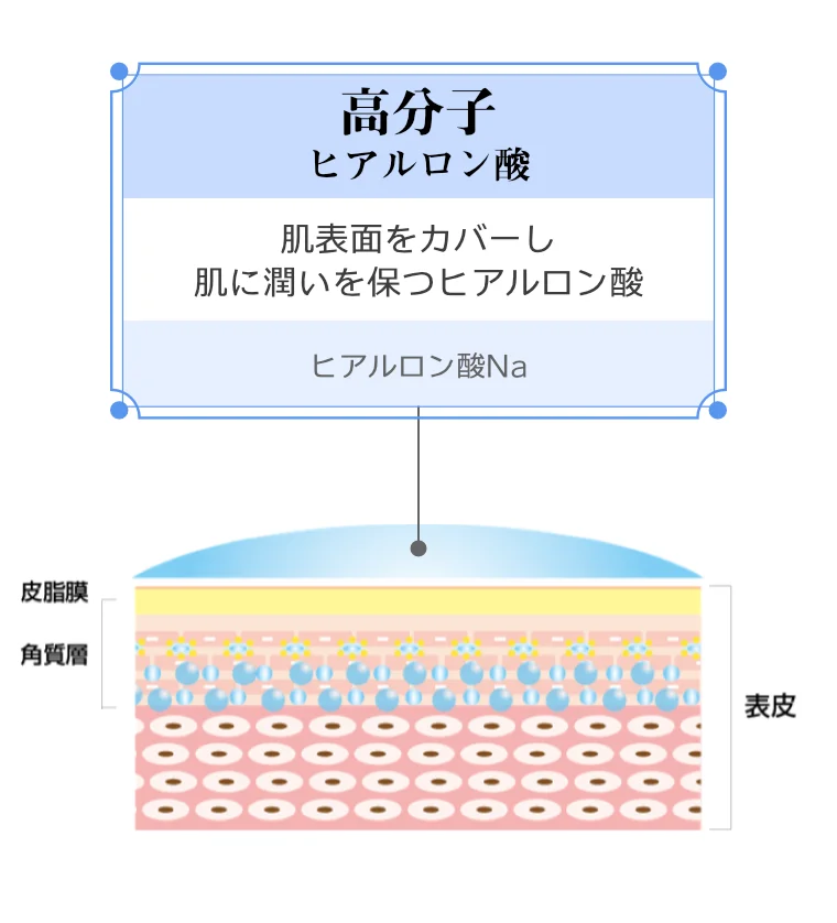 高分子型ヒアルロン酸