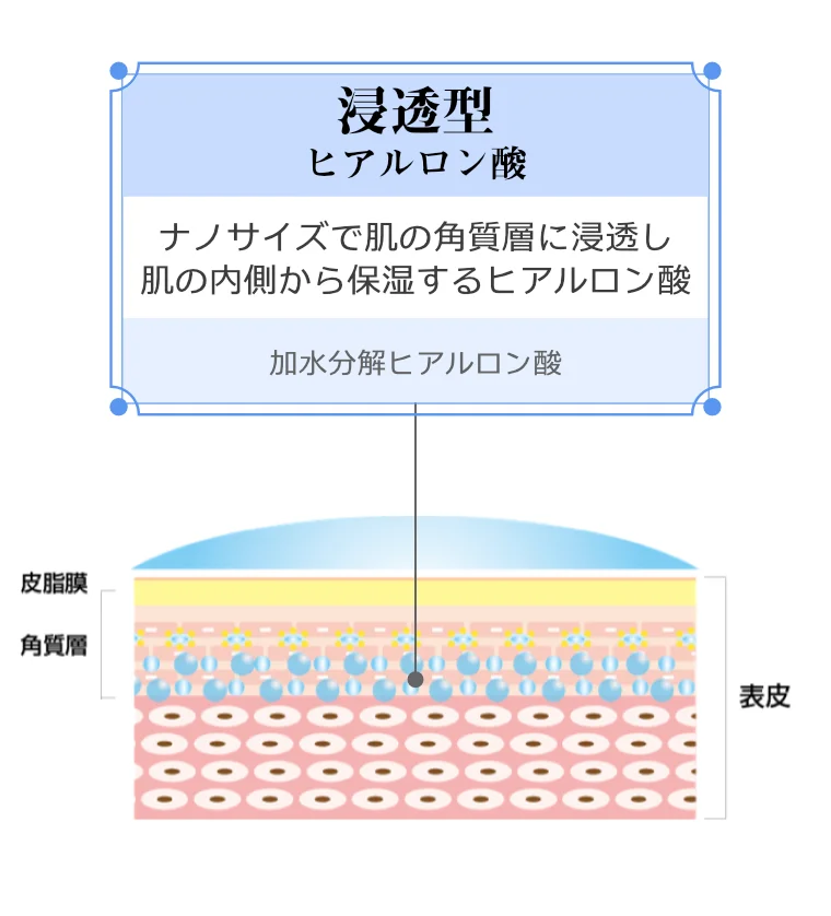 浸透型ヒアルロン酸