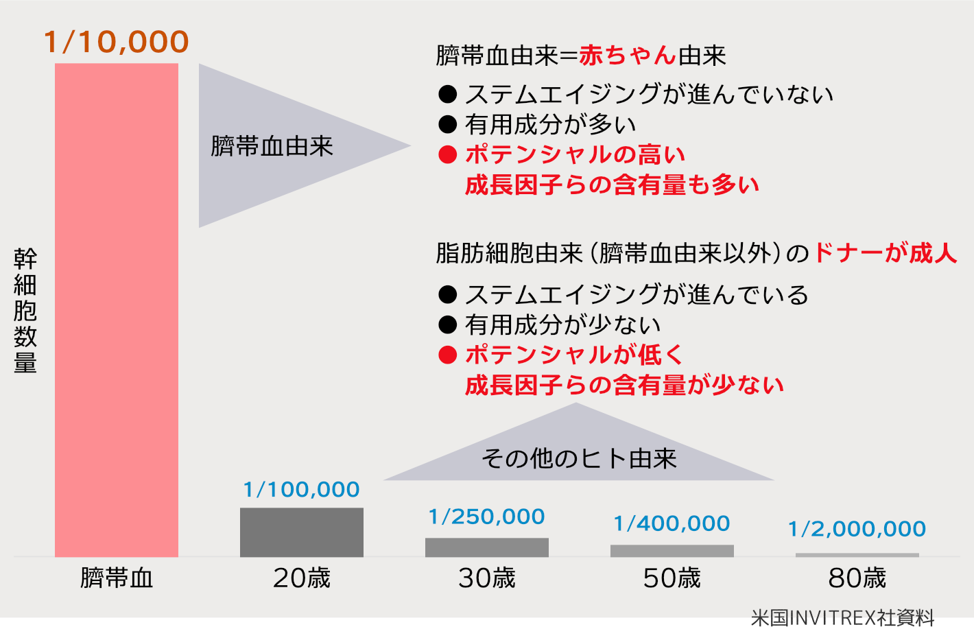 週末3日間のスキンケア 臍帯血順化培養液ペースト29 | Kooオンラインショップ byイーズ・インターナショナル