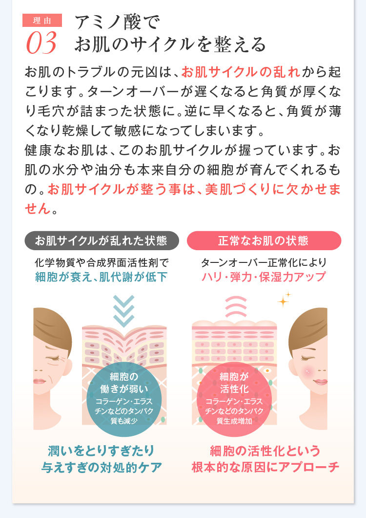 アミノ酸でお肌のサイクルを整える